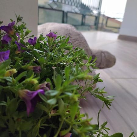 Attico Gloria & Greta Apartamento Castellammare del Golfo Exterior foto